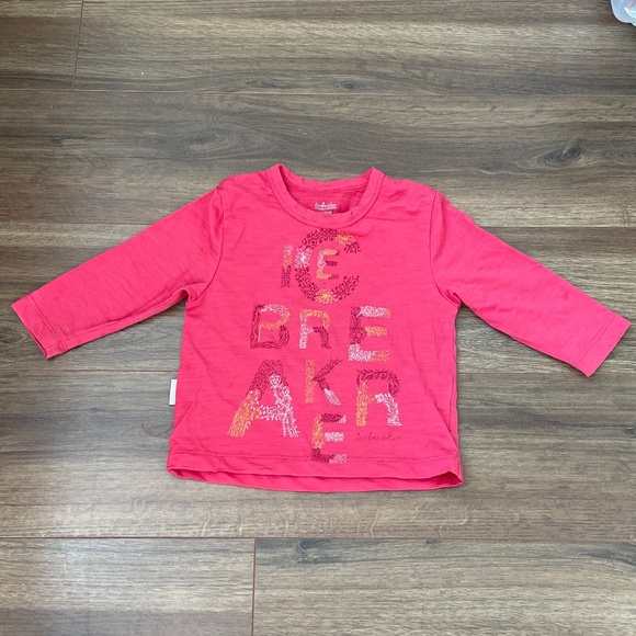 2/$30 Icebreaker 100% Merino Wool top - Picture 3 of 9